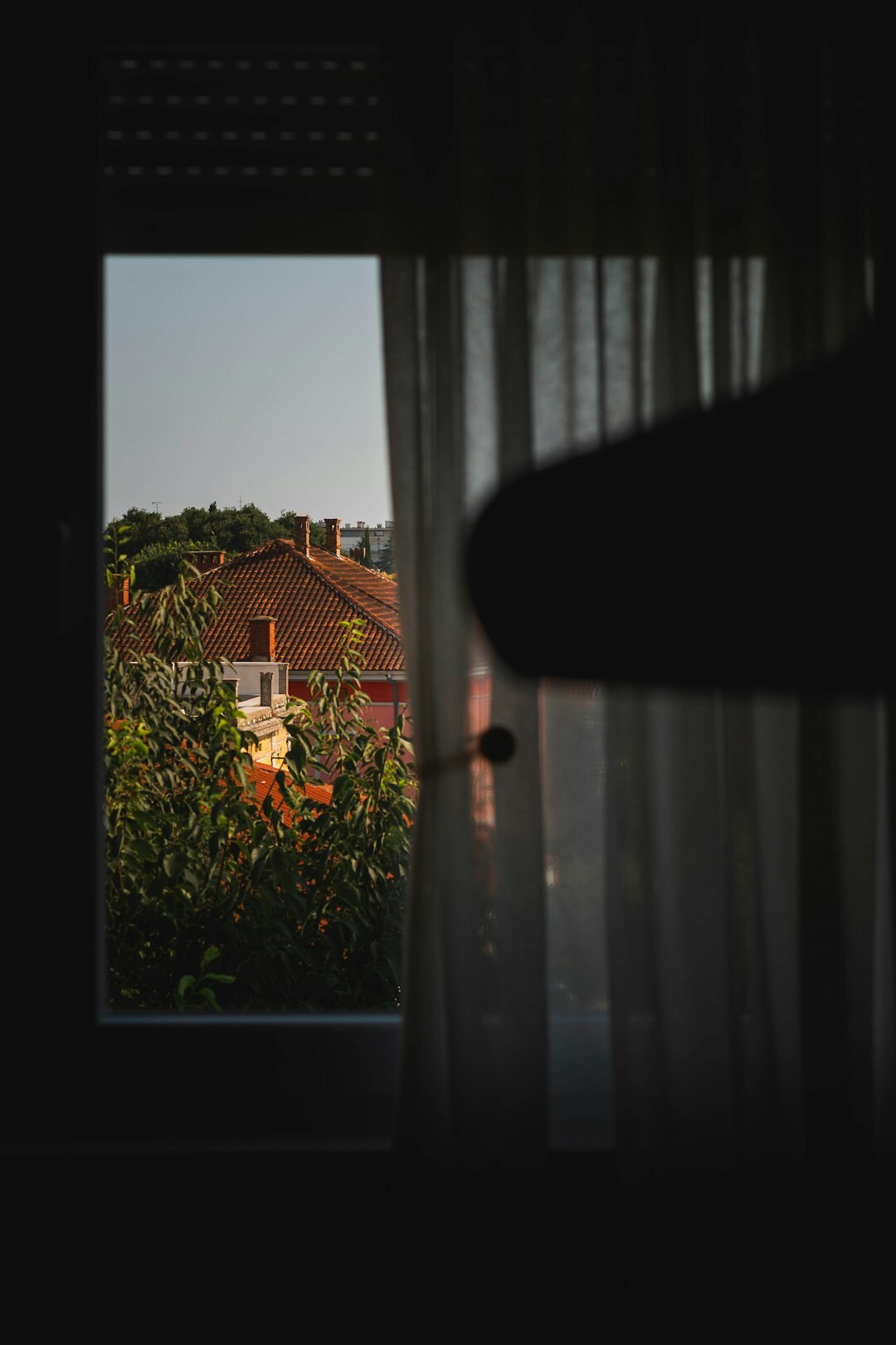 Portrait of a young Croatian woman reading a book by a window